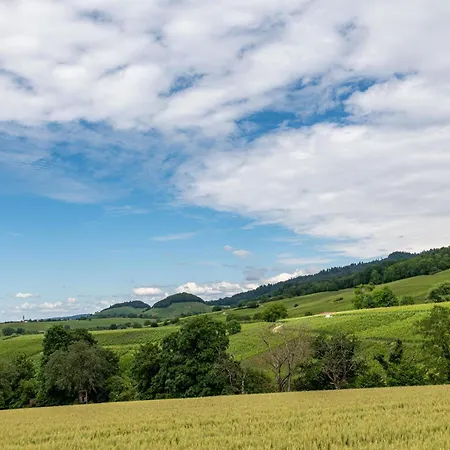 In Den Bachteln Appartement Sulzburg