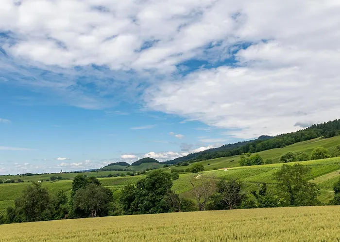 In Den Bachteln Apartament Sulzburg